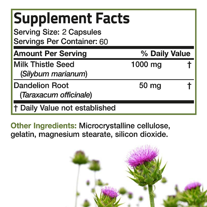 Milk Thistle Silymarin - 프리미엄 밀크시슬 보충제 1000mg 실리마린 &